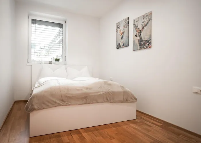 Cityflat 38 By Globboard * Schladming